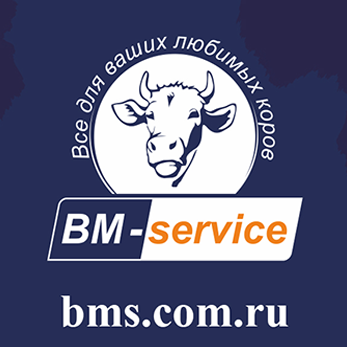 БМ-сервис